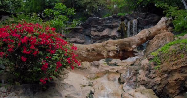 Waterfall Forest Cinematic View Pink Flowers Foreground Fallen Tree Mountain — Stok video
