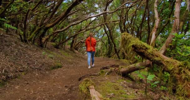Hiking Girl Tracking Walking Anaga Natural Park Green Forest Tenerife — Vídeos de Stock