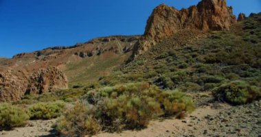 Solidified lava and sparse vegetation in the Teide National Park. Tenerife, Canary Islands. Slow motion.