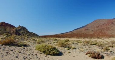 Volcanic landscape in Teide National Park, Tenerife, Canary Islands, Spain. Landscape with rocks, stones and plants in sunset. Nobody.
