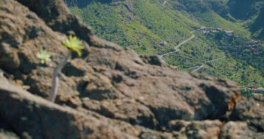 Beautiful view of the Masca Gorge or Barranco de Maska from the peak of the mountain peak. Rocky mountains in the foreground. Mirador La Cruz de Hilda. Nobody. Hand held.
