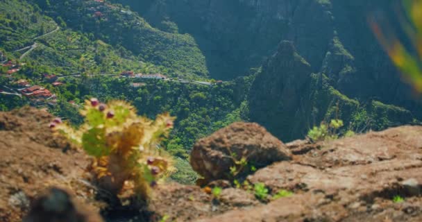 Вид Ущелье Маска Барранко Маска Вершины Горы Скалистые Горы Переднем — стоковое видео
