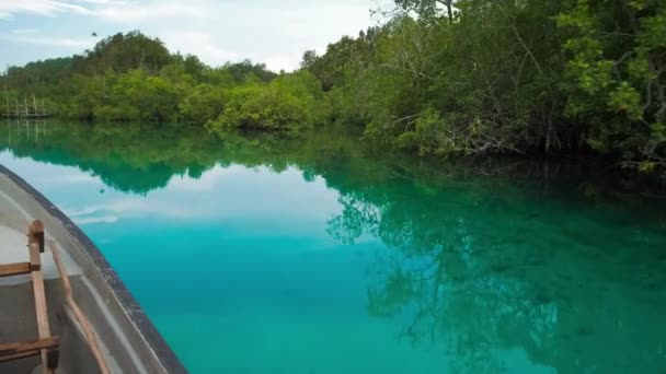 Versteckte Bucht Boot Bewegt Sich Über Blaues Flachwasser Mangrovenreflexion Auf — Stockvideo