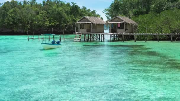 いくつか竹小屋 Kordiris ホームステイ パームツリーの前 Gam 西パプア Raja Ampat インドネシアの美しいブルー Lagoone — ストック動画