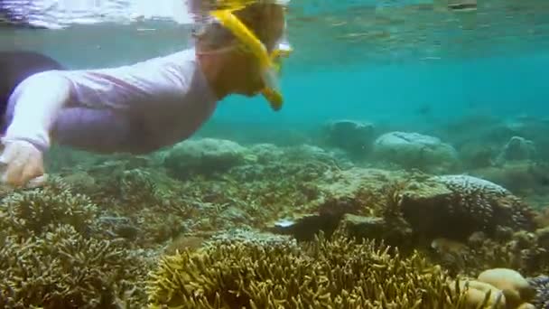 Dalış Kıyafetli Kadın Şnorkelçi Kri Adası Koyunda Sığ Sularda Yüzer — Stok video