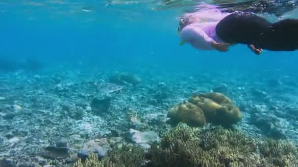 Uvウェットスーツ水着の女性スノーカーはホークスビルウミガメと現在通過中の水泳を着用します 背景にある海の表面上のクリ島 インドネシア西パプア州ラジャアンパット — ストック動画