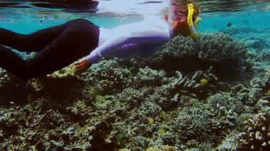 Güzel mercan resifi boyunca dalış mayosu giyen bir kadın. Gam Adası, arka plandaki okyanus yüzeyine hitap ediyor. Raja Ampat, Batı Papua, Endonezya.
