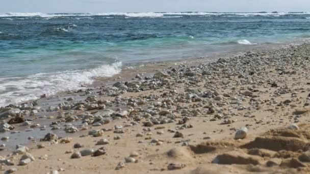 海浪拍打在沙滩与一些石头上 背景中的即兴重复段波 — 图库视频影像