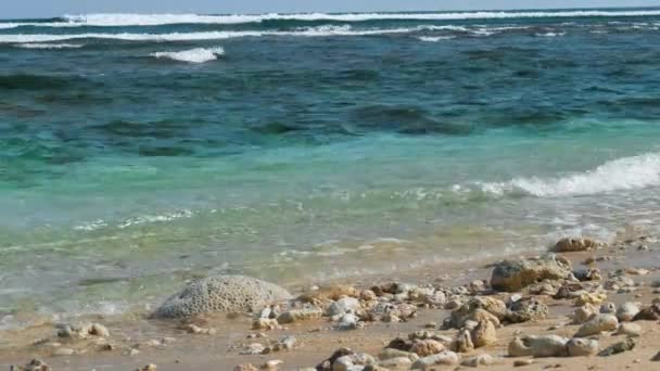 いくつかの石と白砂のビーチに打ち寄せる波 バック グラウンドでリフ波 — ストック動画