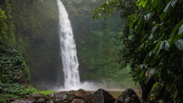 Cascada Tropical Exuberante Selva Verde Caída Agua Golpeando Superficie Del — Vídeos de Stock