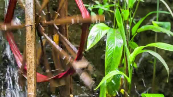 Koło Wodne Bambusowe Wykorzystywane Nawadniania Doprowadza Wodę Strumienia Plantacji Zbliżenie — Wideo stockowe