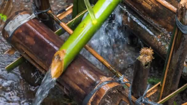 Irrigação Água Bambu Traz Água Córrego Para Plantação Close Bambu — Vídeo de Stock