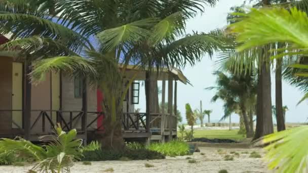 Bungalows Palmeras Tropicales Una Ligera Brisa Playa Arena — Vídeo de stock