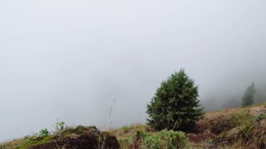 Santo Antao Adası 'ndaki dağların ve vadilerin görkemli manzarası. Tepe yamaçlarındaki güzel tarlalar. Muhteşem Cabo Verde doğa manzaraları. 4k video.