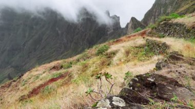 Santo Antao Adası 'ndaki dağların ve vadilerin görkemli manzarası. Tepe yamaçlarındaki güzel tarlalar. Muhteşem Cabo Verde doğa manzaraları. 4k video.