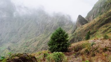 Santo Antao Adası 'ndaki dağların ve vadilerin görkemli manzarası. Tepe yamaçlarındaki güzel tarlalar. Muhteşem Cabo Verde doğa manzaraları. 4k video.