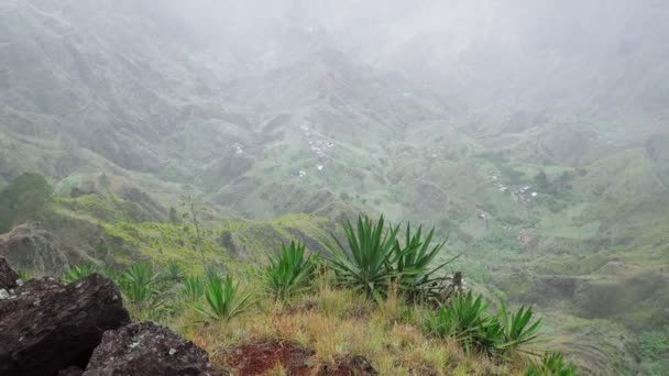 Evergreen Landscape Santo Antao Island Dust Mountain Slopes Covered Agave — Stock Video