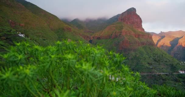 Enorme Falesia Tramonto Primaverile Cespugli Verdi Sul Pendio Della Montagna — Video Stock