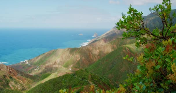 Isla Paradisíaca Tenerife Hermoso Paisaje Primaveral Con Fondo Azul Profundo — Vídeos de Stock