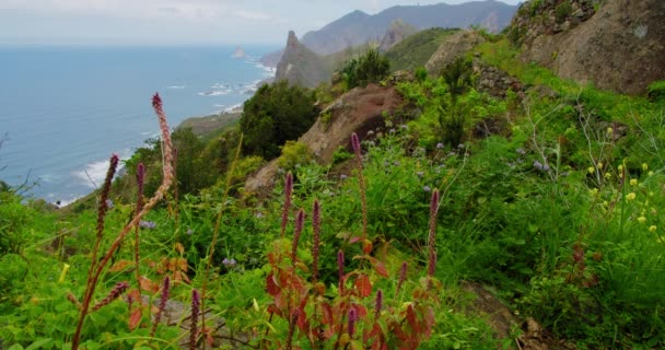 Магічна Фантастична Сцена Жінкою Вершині Скелі Скелястими Гірськими Пейзажами Березі — стокове відео
