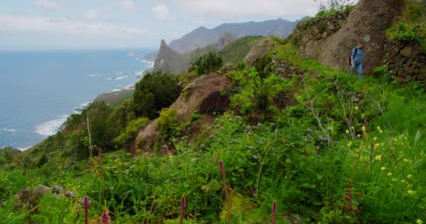 Woman Walking Hill Seascape Background Spring Gren Landscape Mountains Anaga — Vídeo de Stock