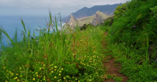 Stunning Steep Cliffs Spring Green Landscape Mountains Anaga National Park — Vídeo de Stock