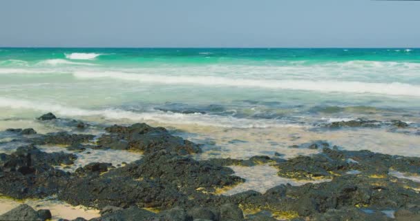 Sea Waves Rushing Black Volcanic Stones White Sand Foaming Nature — Stok video