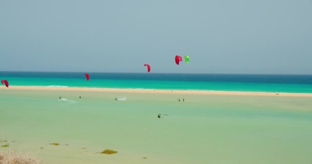 Free Kiters Ocean Waves Kitesurfing Shallow Blue Transparent Water Paradise — 图库视频影像