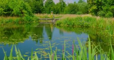 Time to travel, go everywhere. Calm green pond in natural park. Tourist walking on the wooden bridge. Summer weekend. Juicy trees reeds and grass. Germany vacations. Relax scenery view.