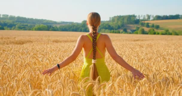 Girl Walks Ripe Wheat Field Sense Freedom Pleasure Sunset Illuminated — Vídeo de stock