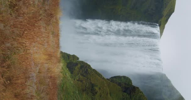 Cachoeira Épica Skogafoss Com Folhagem Primeiro Plano Islândia — Vídeo de Stock