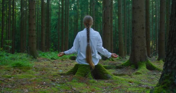 Mujer Rubia Oscura Meditando Bosque Vista Trasera Chica Pelo Largo — Vídeo de stock
