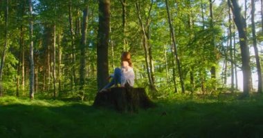 Kadın meditasyonu, zen yoga meditasyonu. Yogacı kızın arka görünüşü bir kütüğe oturur, ormanda dinlenir, sağlıklı bir yaşam tarzı. Özenli nefes alma, zihinsel sağlık tedavisi. İyilik. Şey...