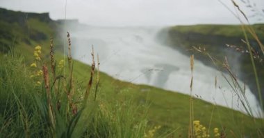 Çimen yaprakları ve arka planda bulanık Gullfoss şelalesi. İzlanda. Altın çember rota gezisi.