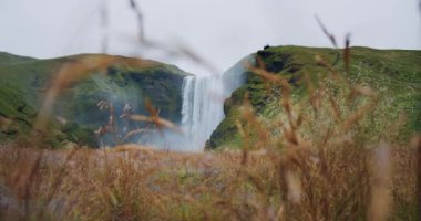 İzlanda Skogafoss şelalesi ön planda çözünmüş yapraklarla.