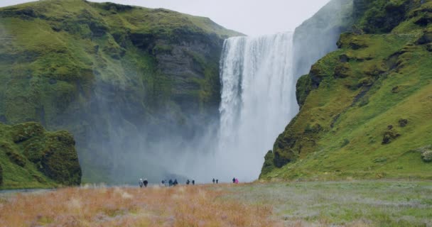 Najbardziej Znany Piękny Wodospad Skogafoss Islandii — Wideo stockowe