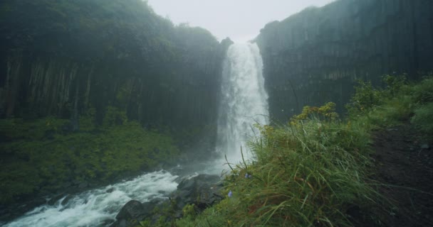 Black Falls Olarak Bilinen Zlanda Svartifoss Şelalesi Vatnajokull Ulusal Parkı — Stok video