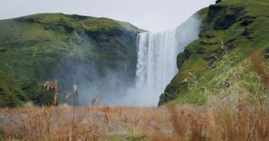 Önplanda yeşillik tarlası olan İzlanda Skogafoss şelalesi.
