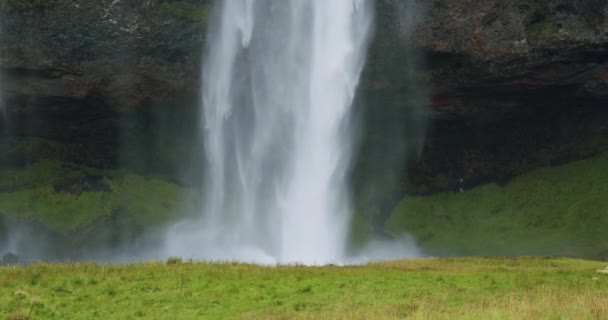 Nahaufnahme Des Seljalandfoss Wasserfalls Island Bei Regnerischem Launischem Wetter — Stockvideo