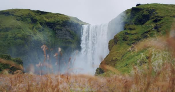 Islandia Wodospad Skogafoss Polem Liści Pierwszym Planie — Wideo stockowe