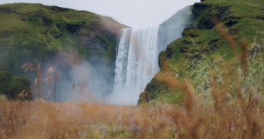 Önplanda yeşillik tarlası olan İzlanda Skogafoss şelalesi.