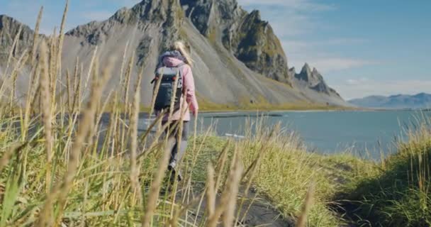 Escena Matutina Viajera Explorando Cabo Stokksnes Con Vestrahorn Fondo Día — Vídeo de stock