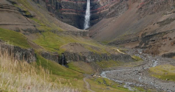 前景の葉を持つヘンギフォスの滝 東アイスランド — ストック動画