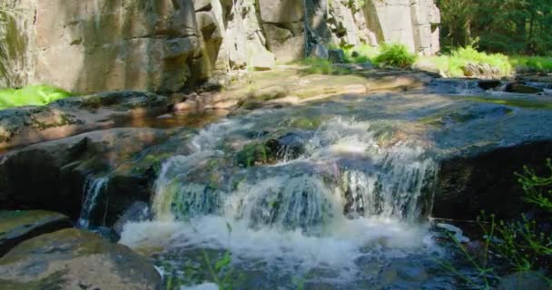 閉じる山の晴れた夏の日に高速川のアップ 自然の風景 朝の森 暑い午後に冷たい新鮮な水の流れを魅了します 太陽の光線は 小川を照らす — ストック動画