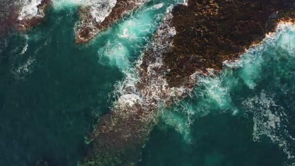 Волны Вспениваются Скалистом Вулканическом Побережье Глубокое Синее Море Солнечный День — стоковое видео