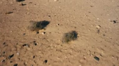 Kız tatilden hoşlanıyor. Sinematik hava manzarası. Turkuaz okyanus, mavi gökyüzü. Çöldeki beyaz kum tepelerinin üzerinden uçmak. Sonsuz Doğal Park. Costa Calma. Plaj Sotavento, Las Palmas. Fuerteventura