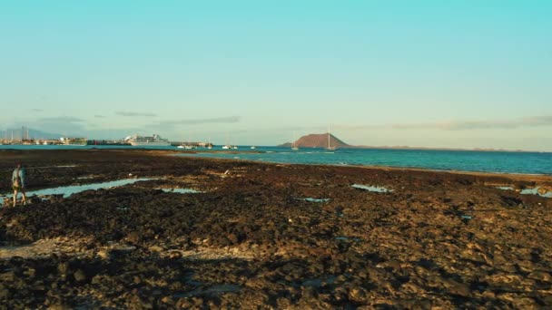 Línea Costera Marea Baja Gran Momento Para Explorar Fondo Del — Vídeo de stock