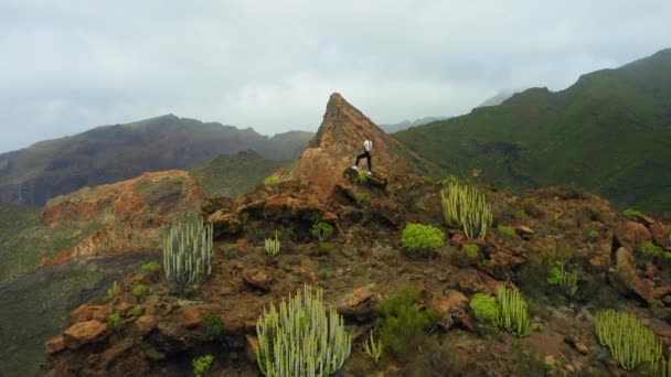 テネリフェ島カナリア島 女性は山の頂上に登った 急峻な岩の斜面 火山の山の崖の上で一人で楽しむ女の子ハイキング 緑の自然景観の考察 — ストック動画