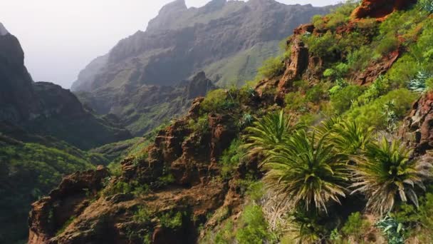 在特诺国家公园的史诗和鼓舞人心的无人机镜头 山岭在村庄和峡谷马斯卡 迷人的风景上布满了薄雾和云彩 大自然的空中无人机 Tenerife — 图库视频影像