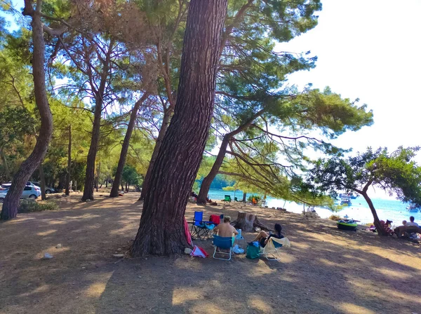 Phaselis Antalya Türkiye Eylül 2021 Antik Lycia Kenti Phaselis Taş — Stok fotoğraf